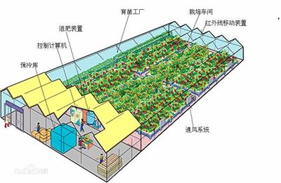 助力新型农业 北京欧倍尔3D设施农业生产系统（植物工厂）虚拟仿真实验软件应用探析